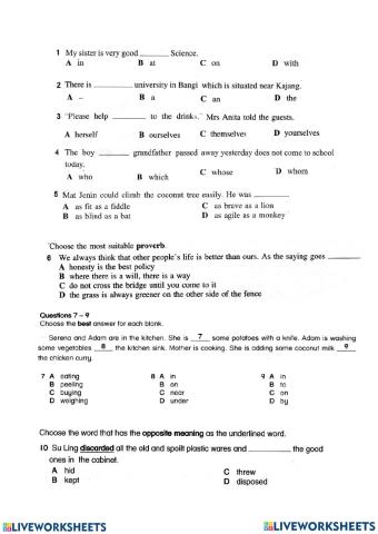Year 6 - paper 1