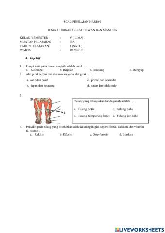 Soal penilaian harian