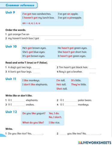 Grammar Review FnF 1 - 3