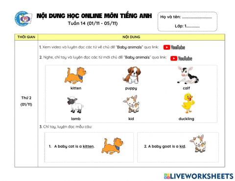 Nội dung học ONLINE tuần 14