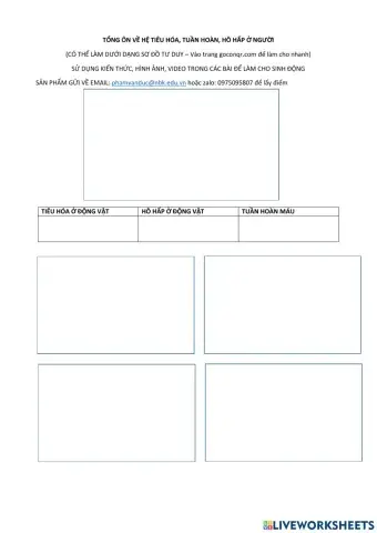 Tổng ôn về tiêu hóa tuần hoàn hô hấp