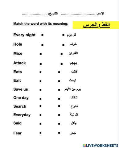 القط والجرس- Arabic