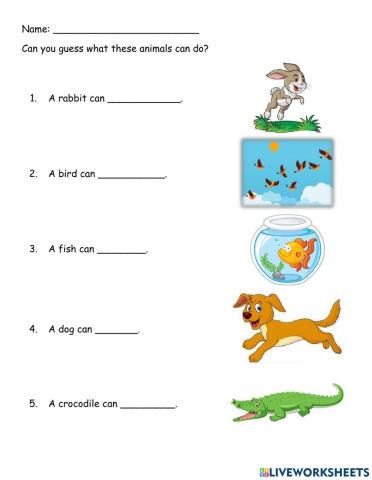 What animals can do?