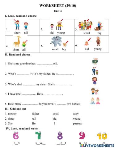 Worksheet 29-10