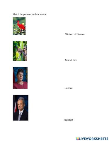 Emblems Matching exercise