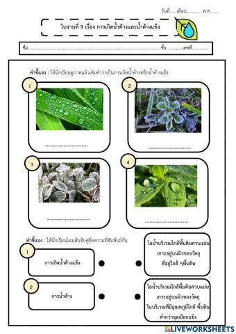 9 การเกิดน้ำค้างและน้ำค้างแข็ง