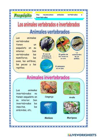Animales vertebrado e invertebrados