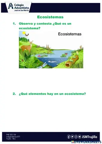 Ecosistema