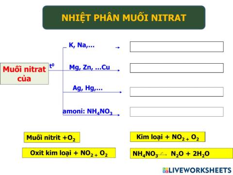 Nhiệt phân muối nitrat