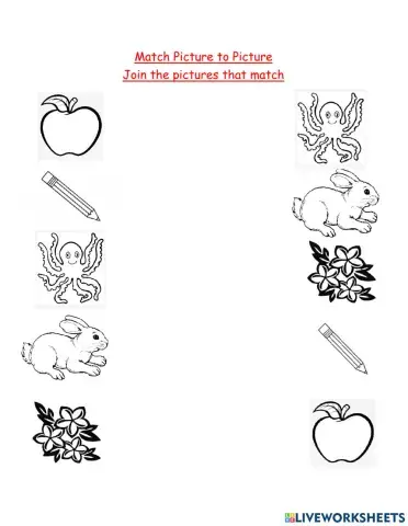 Picture to Picture Matching