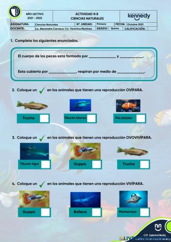 Los peces y su reproducción