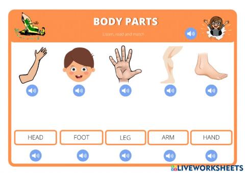 Body parts-1