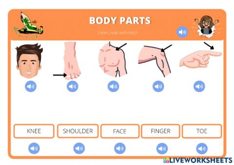 Body parts-2