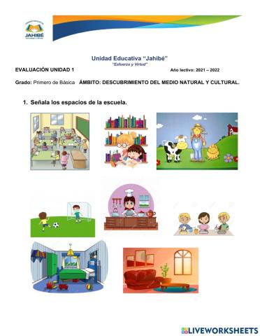 Descubrimiento del medio natural