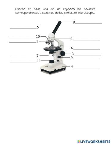 Partes del microscópico.
