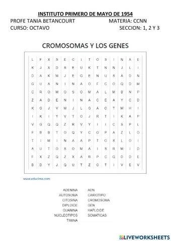 LOS CROMOSOMAS Y LA HERENCIA
