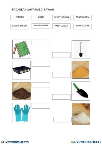 Penyediaan Media Tanaman