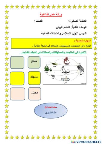 ورقة عمل تفاعلية السلاسل والشبكات الغذائية