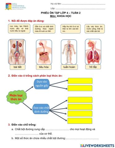 Ôn tập khoa học 4 tuần 1,2
