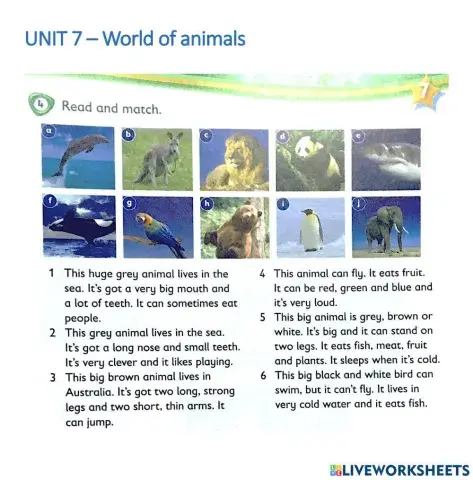 Unit 7 - World of animals