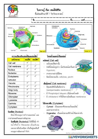 แบบทดสอบวิชาวิทยาศาสตร์ ชั้นมัธยมศึกษาปีที่ 1