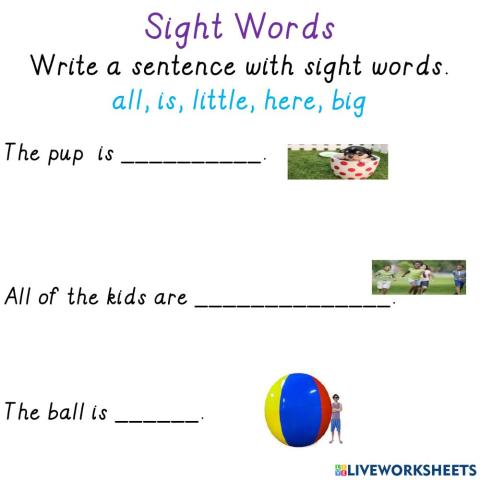 Sight Words (5)