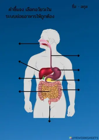 สุขศึกษา