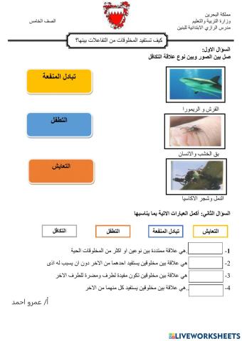 كيف تستفيد المخلوقات الحية من التفاعلات فيما بينها؟