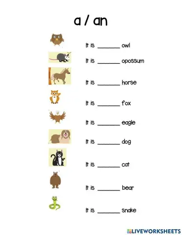 A- an in animals name
