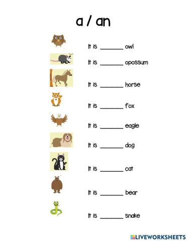 A- an in animals name