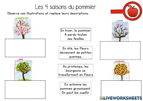 Le pommier au fil des saisons
