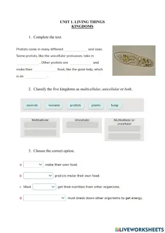 1. Living Things. Kingdoms