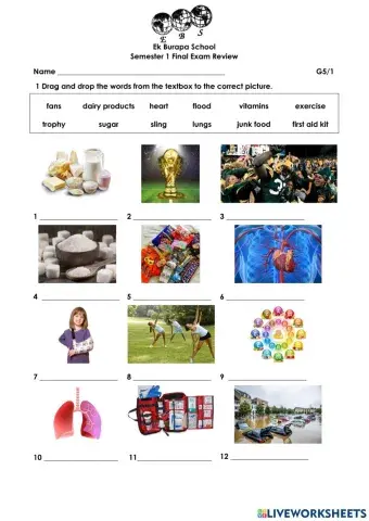 G5 1st Semester Final Review