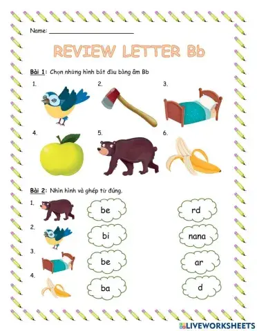 Review letter Bb