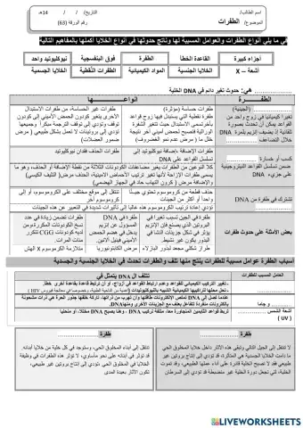 ورقة 63تفاعلية3