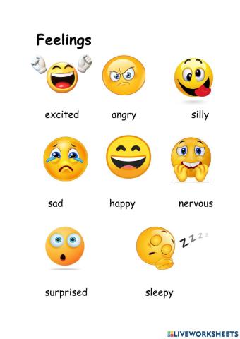 Feelings