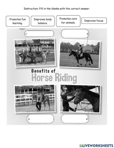 Benefits of Horse Riding