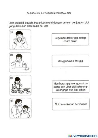 Sains Tahun 3 Manusia