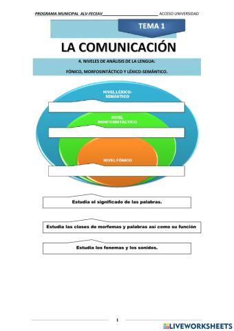 Niveles estudio lengua