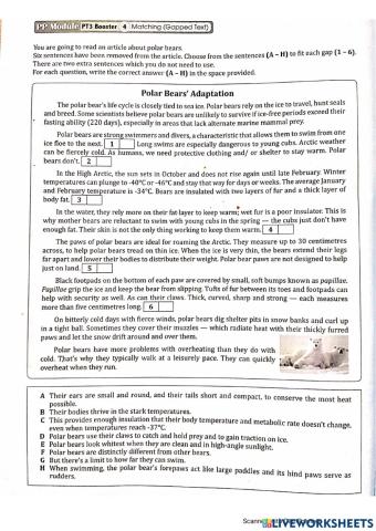 Polar Bears' Adaptation