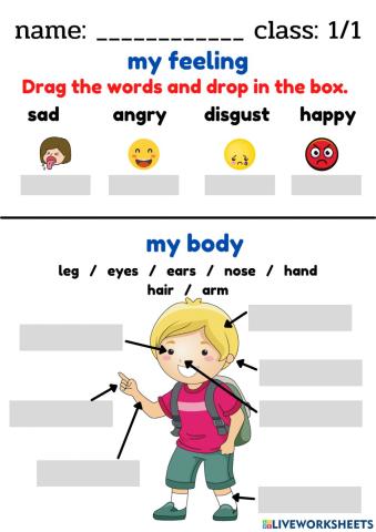 Review for final teast