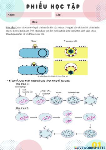 Phiếu học tập - Quá trình nhân lên của virus trong tế bào chủ