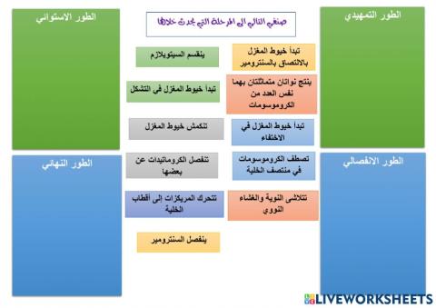 الانقسام المنصف