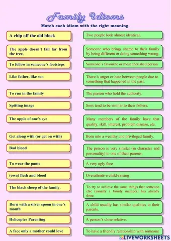 Family Idioms - Matching Exercise