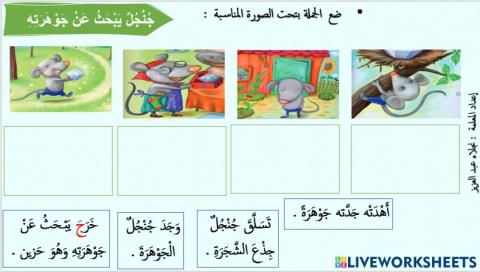 جنْجُلٌ يَبْحَث عَنْ جَوْ هرَتِه