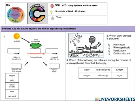 4.2 Living Systems and Processes Quiz