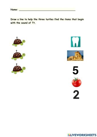 Things that start with the letter T