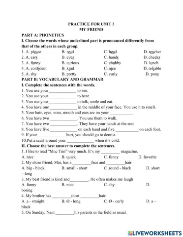 Practice unit 3 english 6