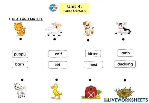 Week 14- worksheet review