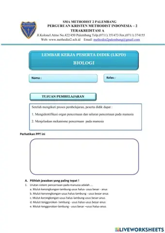 Sistem Pecernaan manusia